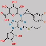 AR-C124910XX-N-Glucuronide CAS#: N/A