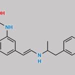 Arformoterol Impurity 5 CAS#: N/A