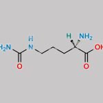 Arginine EP Impurity B CAS#: 372-75-8