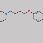 Aripiprazole Impurity 19 CAS#: 2748533-17-5