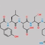 (Aspartimide-28)-Glucagon CAS#: N/A