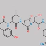 (Aspartimide15)-Glucagon CAS#: N/A