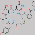 Atosiban 1-8 Lactam Impurity CAS#: N/A