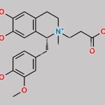 Atracurium Impurity 9 CAS#: 1075726-89-4