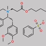 Atracurium Impurity D1 (Besylate salt) CAS#: 2922251-88-3
