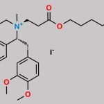 Atracurium Impurity D1 (Iodide salt) CAS#: N/A