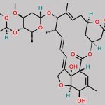 Avermectin B1b CAS#: 65195-56-4