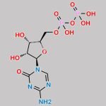 Azacitidine Diphosphate CAS#: 2226-73-5