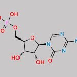 Azacitidine Monophosphate CAS#: 2226-72-4