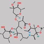 Azaerythromycin A 11,12-hydrogen borate CAS#: 194809-66-0