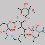 Azithromycin EP Impurity A CAS#: 76801-85-9