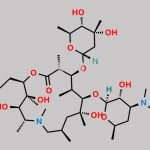 Azithromycin EP Impurity C CAS#: 620169-47-3