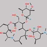 Azithromycin EP Impurity D CAS#: 612069-26-8