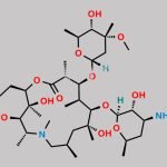 Azithromycin EP Impurity E CAS#: 612069-27-9