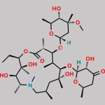 Azithromycin EP Impurity N CAS#: 612069-25-7