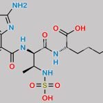 Aztreonam Impurity 6 CAS#: N/A
