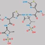 Aztreonam Impurity 7 CAS#: 730928-60-6
