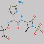Aztreonam Methyl Ester CAS#: 1255912-98-1