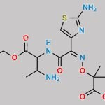 Aztreonam Open-ring desulfatesaztreonam ethyl ester CAS#: N/A
