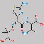 Aztreonam USP Related Compound B CAS#: 102586-36-7