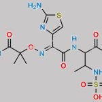 Aztreonam Amide CAS#: 1219444-93-5