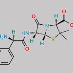Bacampicillin EP Impurity I CAS#: 69-53-4
