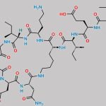Bacitracin A CAS#: 22601-59-8
