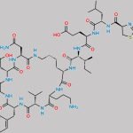 Bacitracin B1 CAS#: 57762-79-5