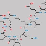 Bacitracin B2 CAS#: 57762-78-4