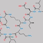 Bacitracin B3 CAS#: 149146-32-7