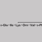 Bacitracin EP Impurity A CAS#: N/A