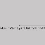Bacitracin EP Impurity D CAS#: N/A