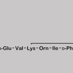 Bacitracin EP Impurity H CAS#: 144572-55-4