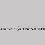 Bacitracin EP Impurity K CAS#: 144572-52-1