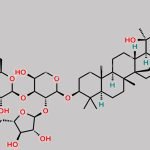Bacopasaponin C CAS#: 178064-13-6