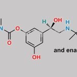 Bambuterol EP Impurity C CAS#: 81732-67-4