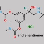 Bambuterol Hydrochloride CAS#: 81732-46-9
