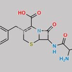 Benzyl Amine Analog Cefaclor CAS#: N/A