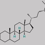 Beta-Stigmastanol CAS#: 19466-47-8