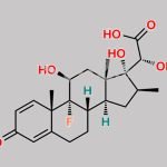 Betamethasone Impurity 28 CAS#: 1184871-61-1