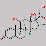Betamethasone Impurity 29 CAS#: 2597-76-4