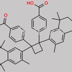 Bexarotene Impurity 5 CAS#: N/A