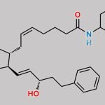 Bimatoprost Cyclohexyl Amide CAS#: N/A