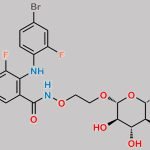 Binimetinib Impurity 12 CAS#: N/A