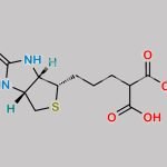 Biotin EP Impurity B CAS#: 57671-79-1
