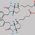 Biotin EP Impurity E CAS#: N/A