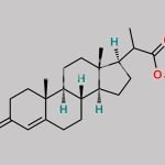 Bisnoracid Methyl Ester CAS#: 60923-57-1