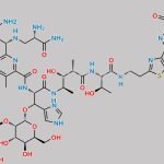 Bleomycin CAS#: 11056-06-7