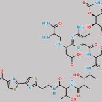 Bleomycin A2 Hydrolized Amide CAS#: N/A