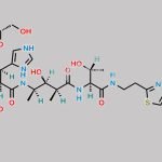 Bleomycin A2 Imine Analogue CAS#: N/A